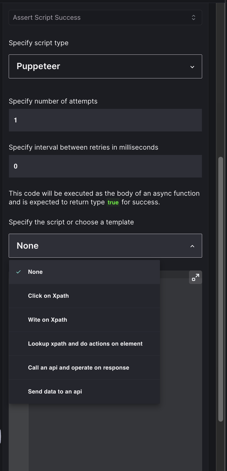 Click to view full size image Assert Script Success